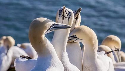 必一运动网页版——开启你的全新运动体验